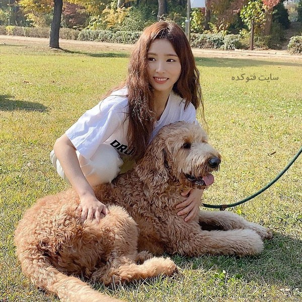 شین سه کیونگ (Shin Se kyung) و سگ خانگی اش